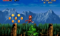 Magical Cat Adventure