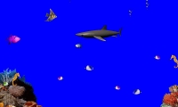 Shadow-Shark!