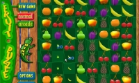 Fruit puzzle
