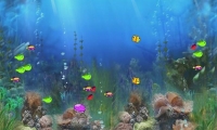 Aquatic Hunt