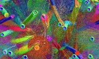 Spheres of Chaos