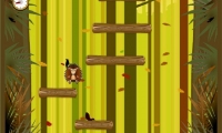 Hedgehog Challenge	 