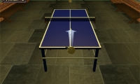 Table Tennis Pro
