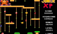 Donkey Kong Junior XP
