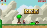 Super Mario: Mushroom Chaos