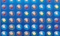 Bubble Popper XXL