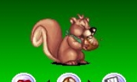 Virtual Squirrel