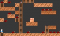 The TunnelMan