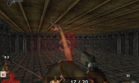 13 More Days In Hell