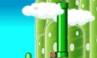 New Mario Bros 2
