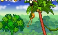 Spider Monkey