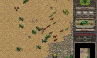 Swarm Assault