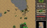 Swarm Assault