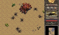Swarm Assault