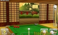Ninja Pool Free