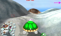 Shelled!