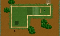 Forest Challenge 2