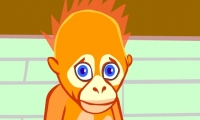 Baby Animals Asia
