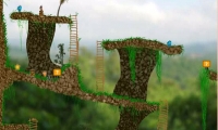 Jungle Treasure