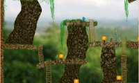 Jungle Treasure