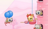 Kittys Candies 