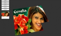Genelia Dsouza 3D Sliding Puzzle