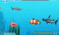 Go Fish Go!