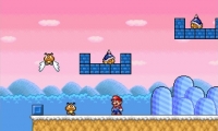 Super Mario Save Luigi