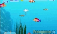 Go Fish Go!