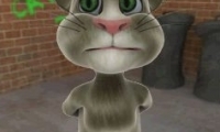 Talking Tom Free