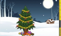 Christmas Tree Evergreen