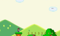 Mario Adventure