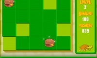 Go Go Puzzle Pets