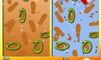 5 Similarities