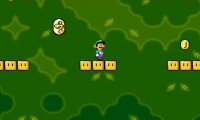 Luigi's Island