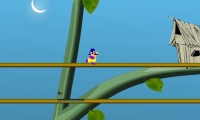 Jungle Escape