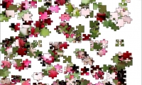 Jigsaw: Radishes
