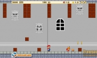Adventure of Super Mario Castle	