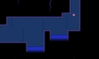 Within a Deep Forest