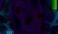 Antigen