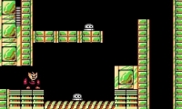 Mega Man - Day in the Limelight 