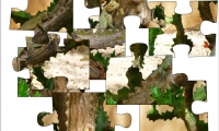 Jigsaw: Iguana Tree