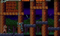 Castlevania: The Dark Century