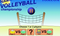 Namnum Volleyball