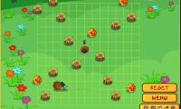 Beetle Run