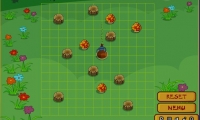 Beetle Run
