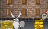 Dung Fu Donkey 