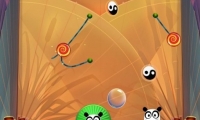 Feed the Panda