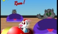 lil Mouse Racer