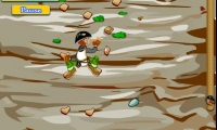 Mountaineer